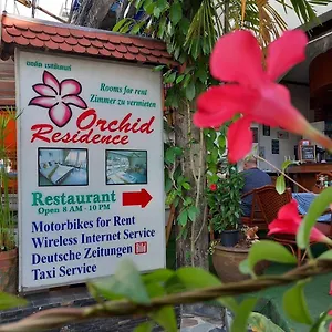 Orchid
